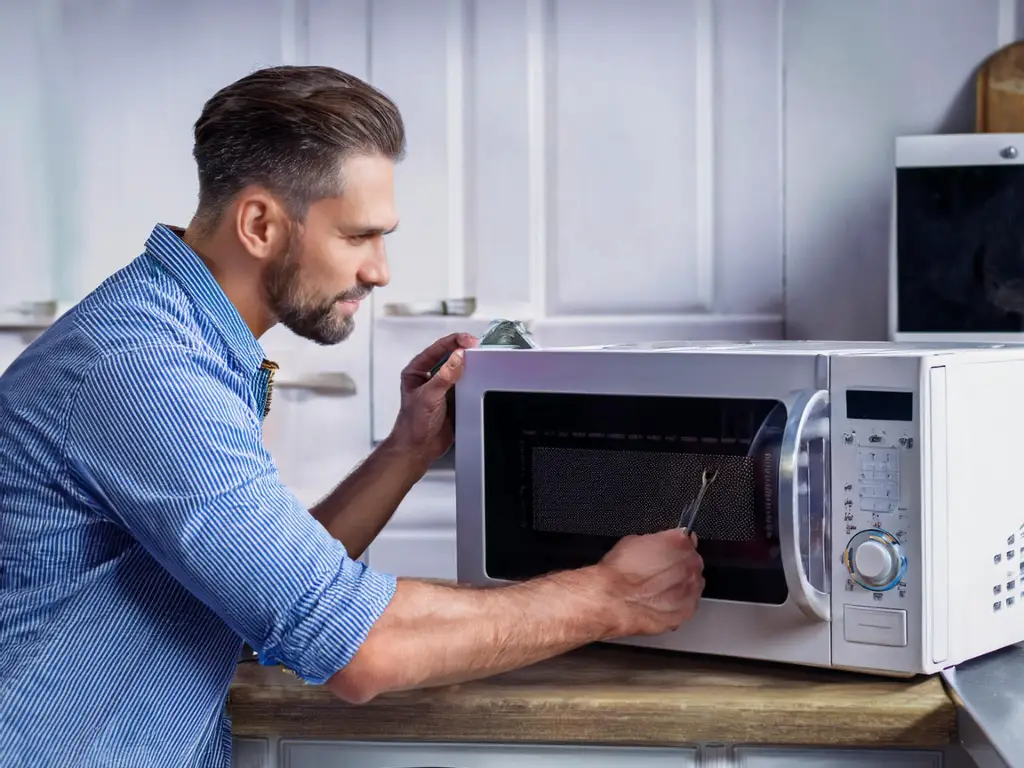 microwave-repairing-services